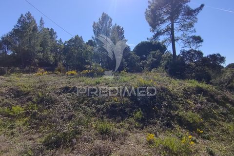 Helårsgrund i Constancia, Santarem, Constancia - € 55.000 | Ref: 058519 - foto 30