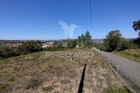 Helårsgrund i Constancia, Santarem, Constancia - € 55.000 | Ref: 058519 - foto 31