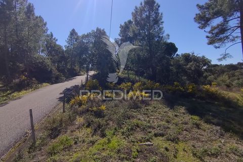 Helårsgrund i Constancia, Santarem, Constancia - € 55.000 | Ref: 058519 - foto 32