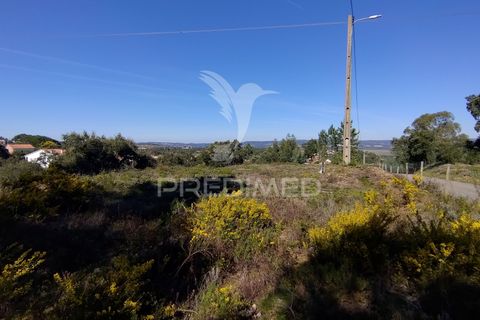 Helårsgrund i Constancia, Santarem, Constancia - € 55.000 | Ref: 058519 - foto 33