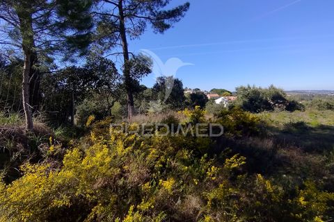 Helårsgrund i Constancia, Santarem, Constancia - € 55.000 | Ref: 058519 - foto 35