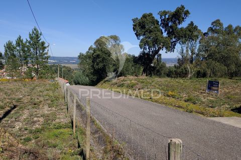 Helårsgrund i Constancia, Santarem, Constancia - € 55.000 | Ref: 058519 - foto 36