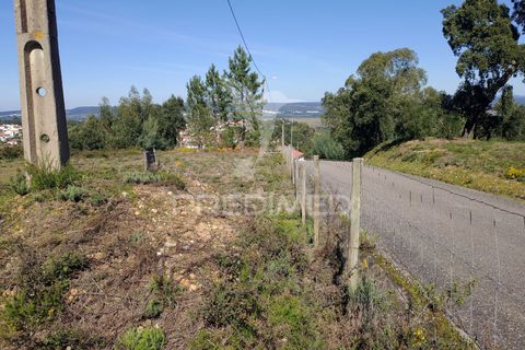 Helårsgrund i Constancia, Santarem, Constancia - € 55.000 | Ref: 058519 - foto 37