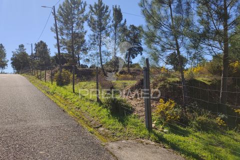 Helårsgrund i Constancia, Santarem, Constancia - € 55.000 | Ref: 058519 - foto 38