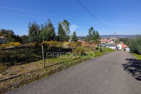 Helårsgrund i Constancia, Santarem, Constancia - € 55.000 | Ref: 058519 - foto 40