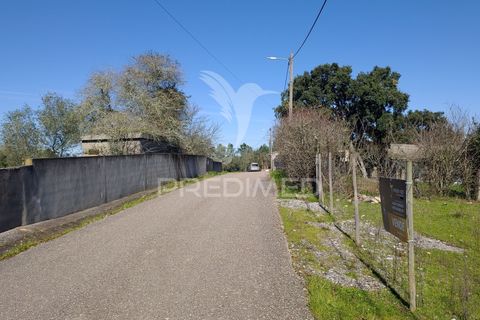 Terra a Constancia, Santarem, Constancia - € 16.100 | Ref: 058521 - foto 2