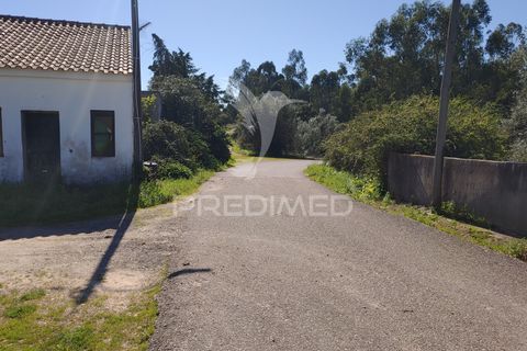 Terra a Constancia, Santarem, Constancia - € 16.100 | Ref: 058521 - foto 3