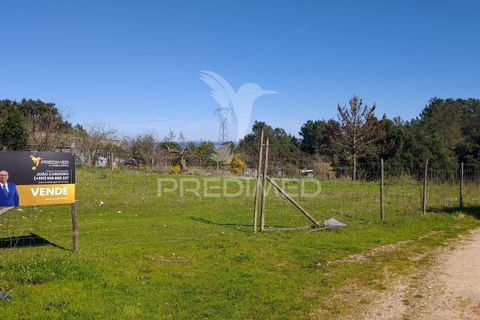 Terra a Constancia, Santarem, Constancia - € 16.100 | Ref: 058521 - foto 4