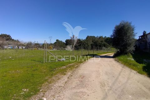 Terra a Constancia, Santarem, Constancia - € 16.100 | Ref: 058521 - foto 5