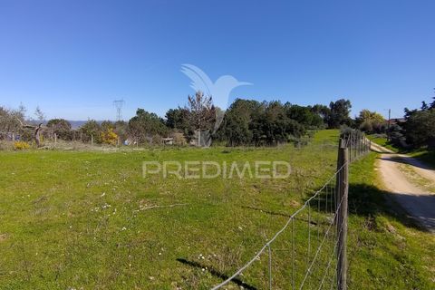 Terra a Constancia, Santarem, Constancia - € 16.100 | Ref: 058521 - foto 6