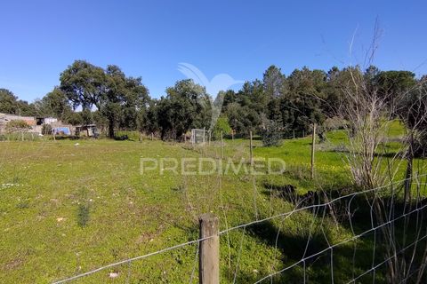 Terra a Constancia, Santarem, Constancia - € 16.100 | Ref: 058521 - foto 7