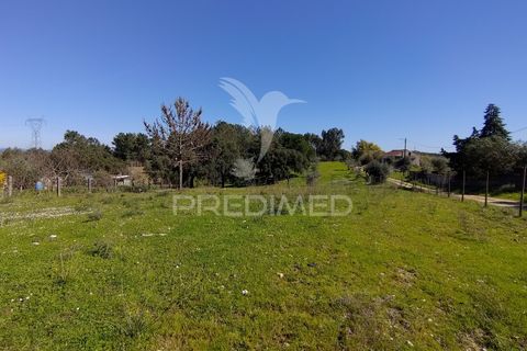 Terra a Constancia, Santarem, Constancia - € 16.100 | Ref: 058521 - foto 9