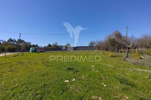 Terra a Constancia, Santarem, Constancia - € 16.100 | Ref: 058521 - foto 10