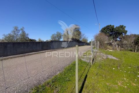 Terra a Constancia, Santarem, Constancia - € 16.100 | Ref: 058521 - foto 11