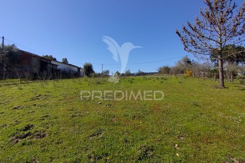 Terra a Constancia, Santarem, Constancia - € 16.100 | Ref: 058521 - foto 12