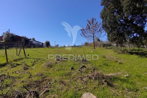 Terra a Constancia, Santarem, Constancia - € 16.100 | Ref: 058521 - foto 13