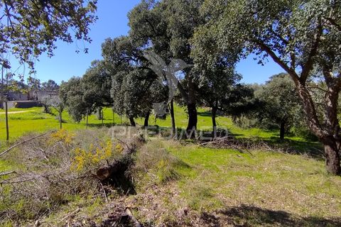 Terra a Constancia, Santarem, Constancia - € 16.100 | Ref: 058521 - foto 19