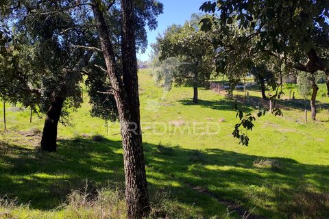 Terra a Constancia, Santarem, Constancia - € 16.100 | Ref: 058521 - foto 21