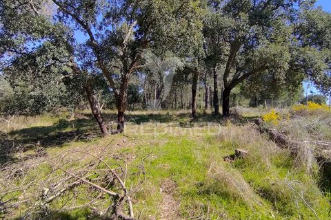 Terra a Constancia, Santarem, Constancia - € 16.100 | Ref: 058521 - foto 23