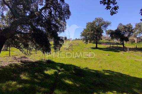 Terra a Constancia, Santarem, Constancia - € 16.100 | Ref: 058521 - foto 24