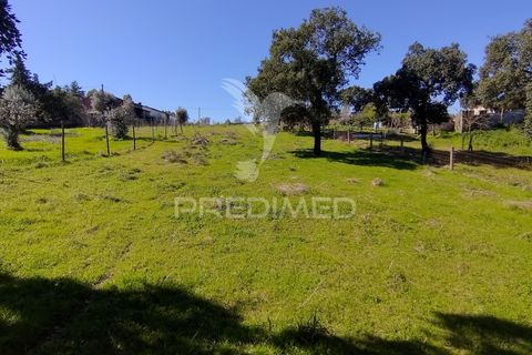 Terra a Constancia, Santarem, Constancia - € 16.100 | Ref: 058521 - foto 25