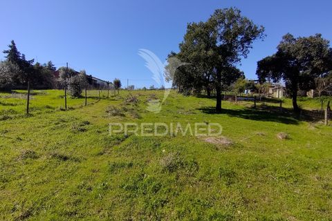 Terra a Constancia, Santarem, Constancia - € 16.100 | Ref: 058521 - foto 26