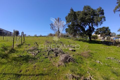 Terra a Constancia, Santarem, Constancia - € 16.100 | Ref: 058521 - foto 27