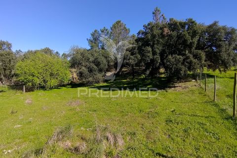 Terra a Constancia, Santarem, Constancia - € 16.100 | Ref: 058521 - foto 28