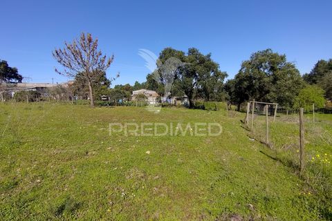 Terra a Constancia, Santarem, Constancia - € 16.100 | Ref: 058521 - foto 29