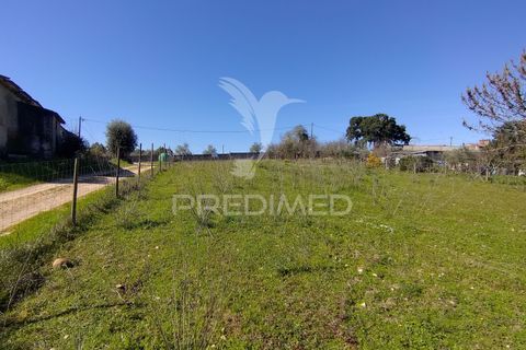 Terra a Constancia, Santarem, Constancia - € 16.100 | Ref: 058521 - foto 30
