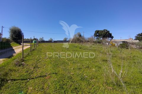 Terra a Constancia, Santarem, Constancia - € 16.100 | Ref: 058521 - foto 31