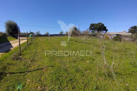 Terra a Constancia, Santarem, Constancia - € 16.100 | Ref: 058521 - foto 32