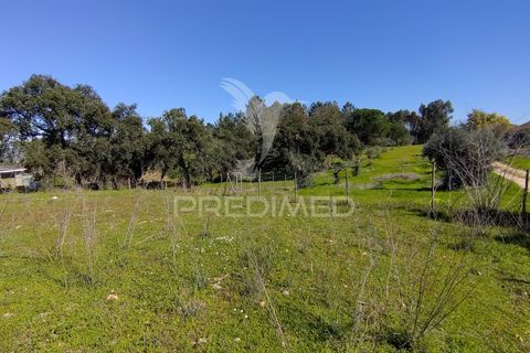 Terra a Constancia, Santarem, Constancia - € 16.100 | Ref: 058521 - foto 33