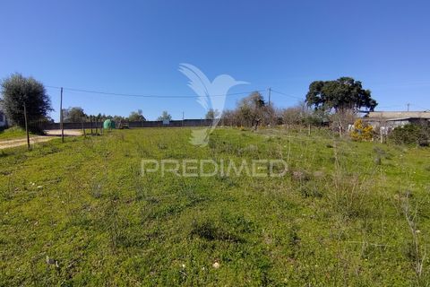 Terra a Constancia, Santarem, Constancia - € 16.100 | Ref: 058521 - foto 34