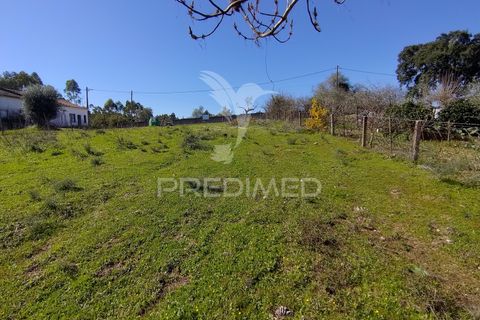 Terra a Constancia, Santarem, Constancia - € 16.100 | Ref: 058521 - foto 35