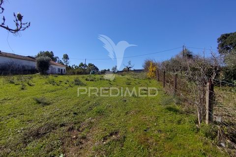 Terra a Constancia, Santarem, Constancia - € 16.100 | Ref: 058521 - foto 36