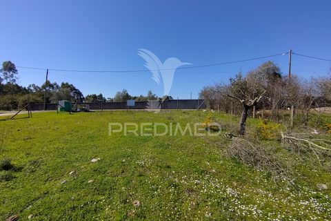 Terra a Constancia, Santarem, Constancia - € 16.100 | Ref: 058521 - foto 37