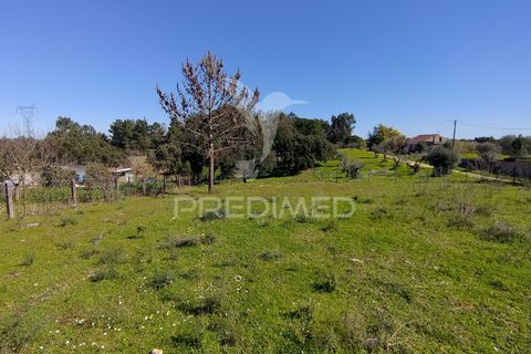 Terra a Constancia, Santarem, Constancia - € 16.100 | Ref: 058521 - foto 38