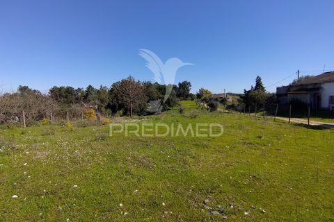 Terra a Constancia, Santarem, Constancia - € 16.100 | Ref: 058521 - foto 39