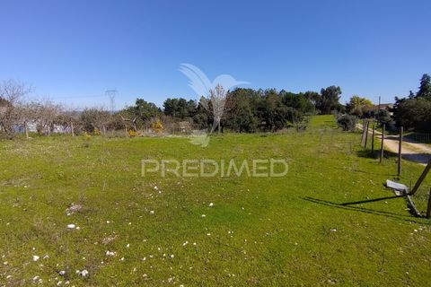 Terra a Constancia, Santarem, Constancia - € 16.100 | Ref: 058521 - foto 40