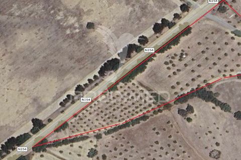 Terra a Redondo, Evora, Redondo - € 60.000 | Ref: 058527 - foto 2