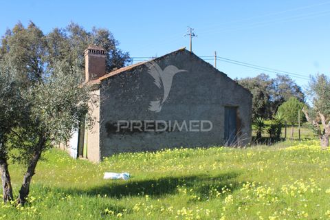 Terra a Redondo, Evora, Redondo - € 60.000 | Ref: 058527 - foto 3