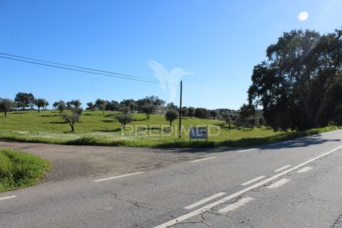 Terra a Redondo, Evora, Redondo - € 60.000 | Ref: 058527 - foto 6