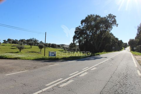 Terra a Redondo, Evora, Redondo - € 60.000 | Ref: 058527 - foto 7