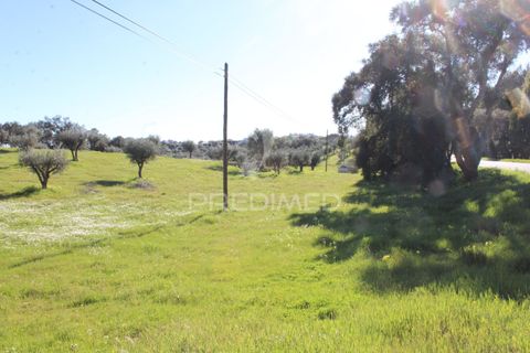 Terra a Redondo, Evora, Redondo - € 60.000 | Ref: 058527 - foto 8