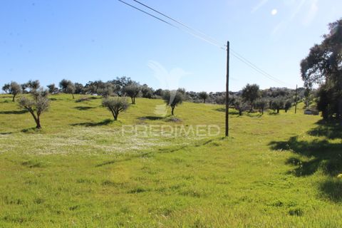 Terra a Redondo, Evora, Redondo - € 60.000 | Ref: 058527 - foto 12