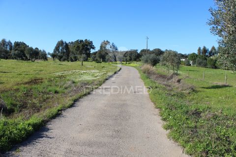 Terra a Redondo, Evora, Redondo - € 60.000 | Ref: 058527 - foto 13