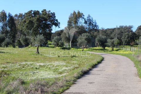 Terra a Redondo, Evora, Redondo - € 60.000 | Ref: 058527 - foto 14