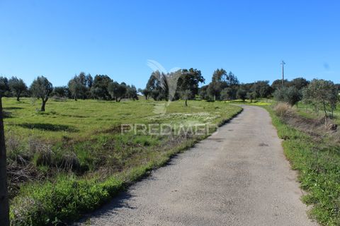 Terra a Redondo, Evora, Redondo - € 60.000 | Ref: 058527 - foto 15