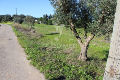 Terra a Redondo, Evora, Redondo - € 60.000 | Ref: 058527 - foto 16
